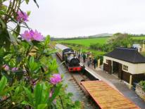 The group has already opened the line up to Truthall Halt